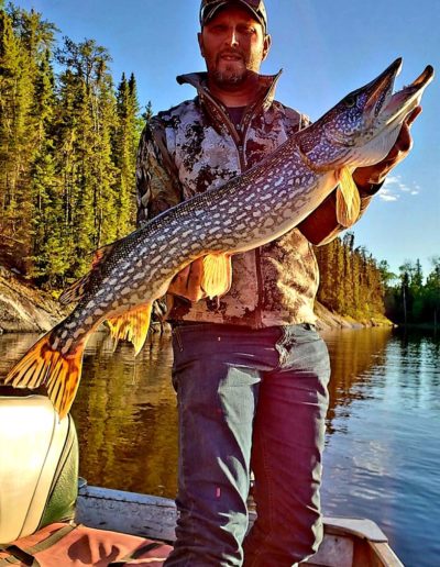 Muskie Musky fishing trips Perrault Falls Northwestern Ontario